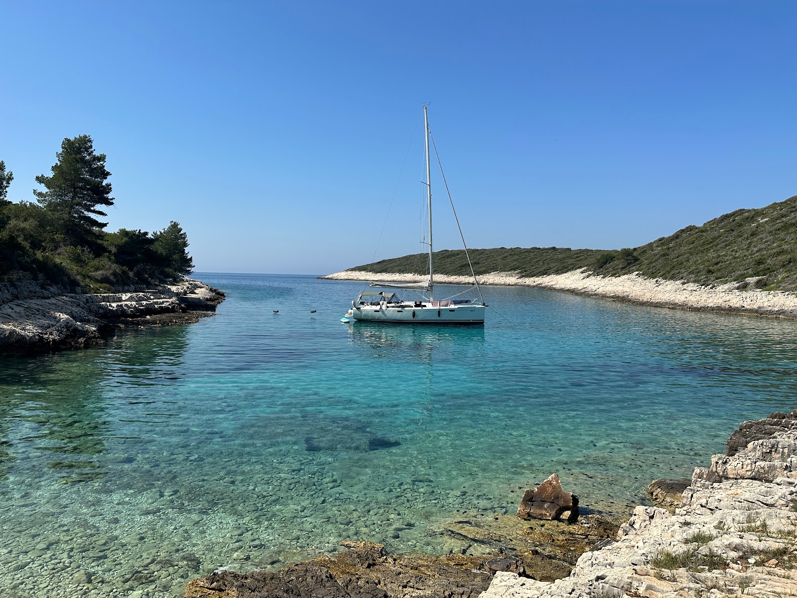 Store-Stone Beach'in fotoğrafı vahşi alan