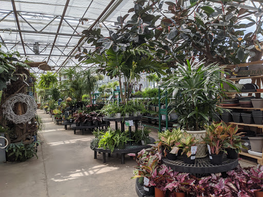 Florist «Bayport Flower Houses, Inc.», reviews and photos, 940 Montauk Hwy, Bayport, NY 11705, USA