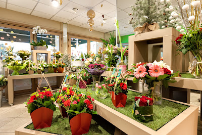 Le Jardin des Fleurs à Les Sables-d'Olonne