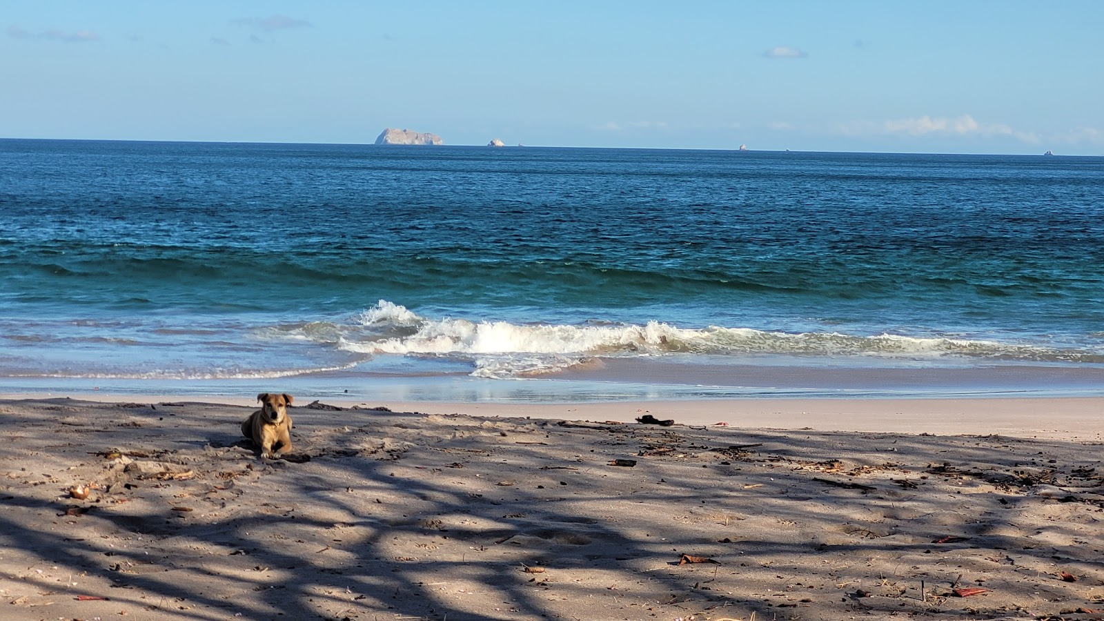 Photo de Zapotillal Beach situé dans une zone naturelle