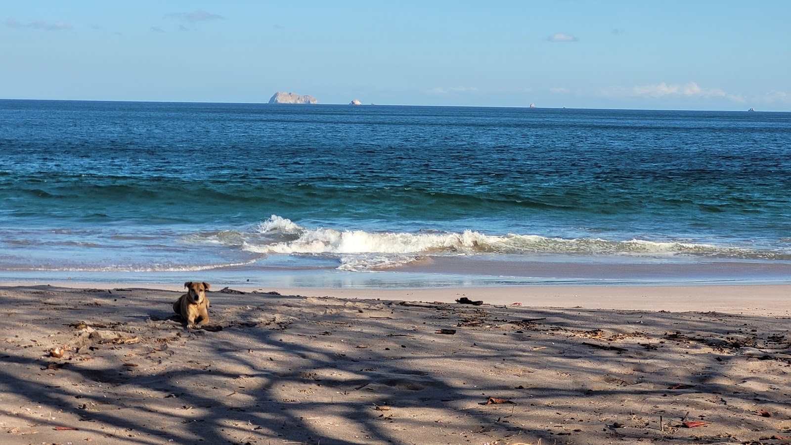 Foto van Zapotillal Beach wilde omgeving