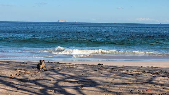 Zapotillal Beach