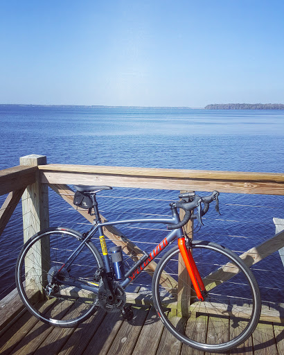 Bicycle Store «Open Road Bicycles», reviews and photos, 4460 Hendricks Ave, Jacksonville, FL 32207, USA