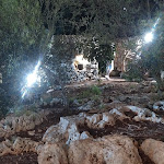 Photo n°2 de l'avis de Margherita.e fait le 08/09/2021 à 22:36 sur le  Restaurant Boccaccio à Santa Maria di Leuca