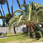 Photo n°2 de l'avis de Food.e fait le 24/08/2021 à 20:48 sur le  Hotel Miramonti à Forte dei Marmi