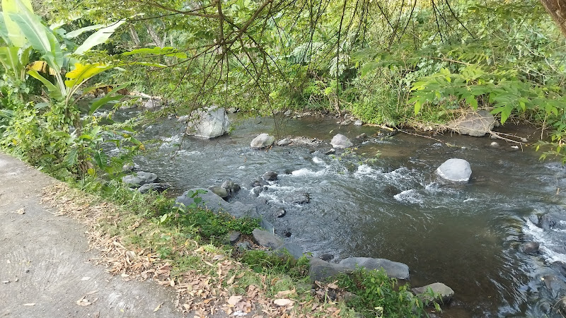 Cagar Alam di Kabupaten Karangasem: Menyelami Keindahan Alam Sungai Jangga Pati dan Tempat Lainnya