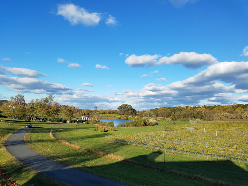 Winery «Narmada Winery», reviews and photos, 43 Narmada Ln, Amissville, VA 20106, USA