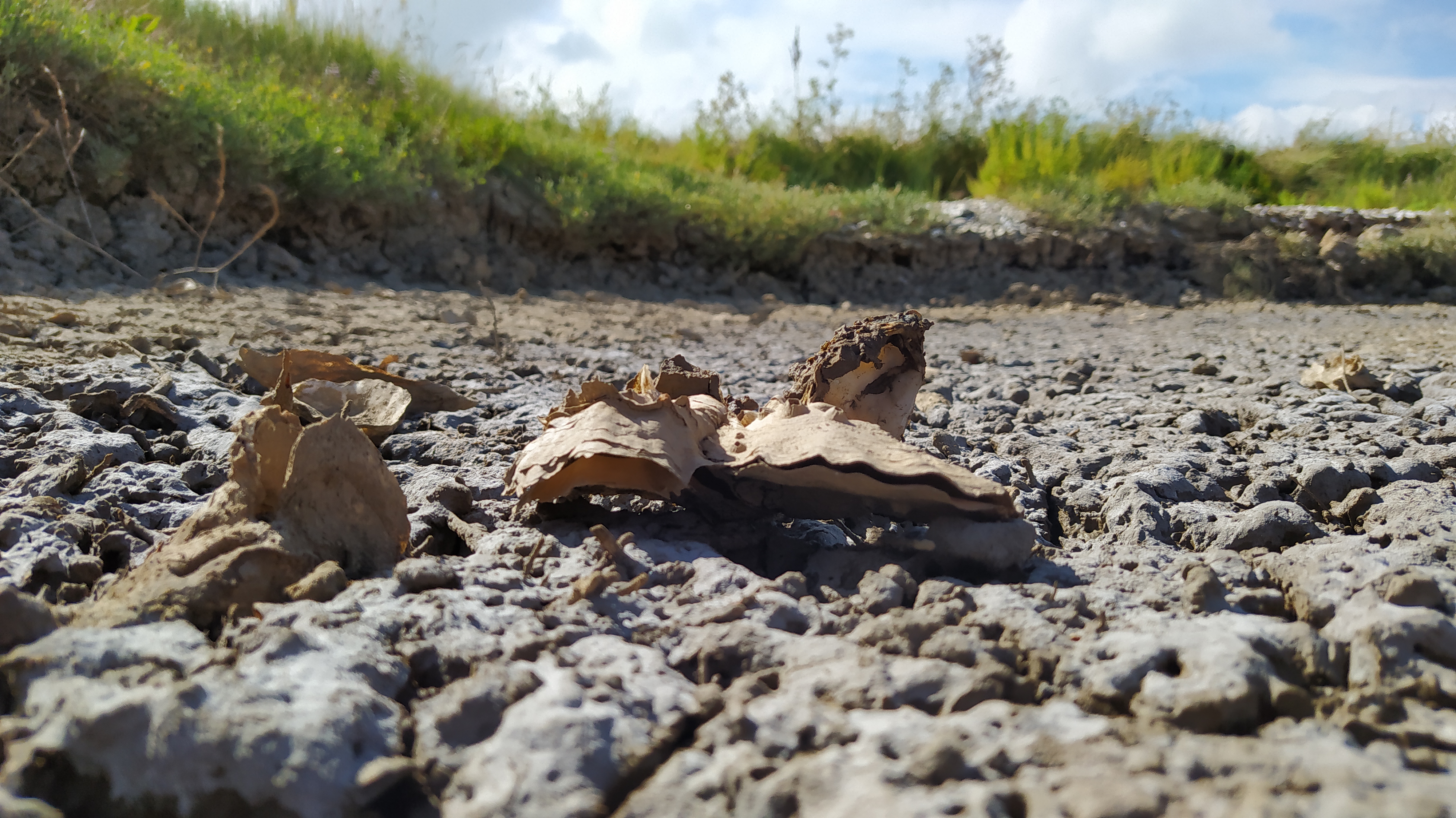 Photo n° 1 de l'avis de Nathalie.e fait le 15/07/2020 à 15:24