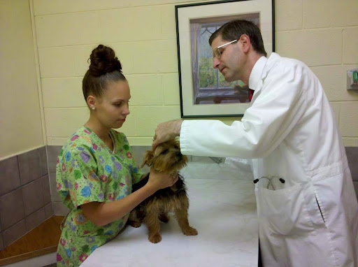 Sterling Park Animal Hospital image