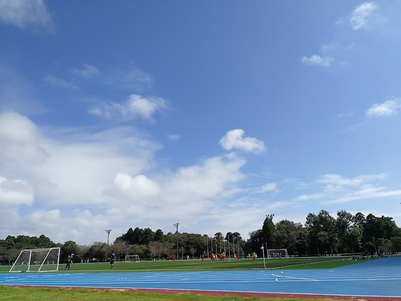 山武市成東総合運動公園