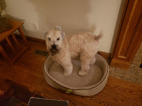 The Pet Plantation - Photo 6 - Car repair in Scott Depot, WV, Charleston