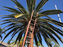 Emmanuels Gardening & Tree Service - Photo 4 - Car repair in Bakersfield, CA, Bakersfield
