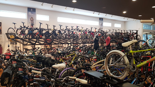 Bicycle Store «Cycle World Miami», reviews and photos, 8476 SW 40th St, Miami, FL 33155, USA