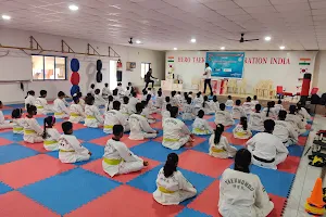 Hero taekwondo federation (INDIA) image