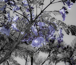 Xochimilco Ecological Park photo