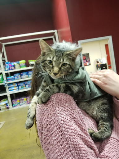 Pet Supply Store «One of the Family Pet Supply LLC», reviews and photos, 288 Lincoln Blvd, Middlesex, NJ 08846, USA