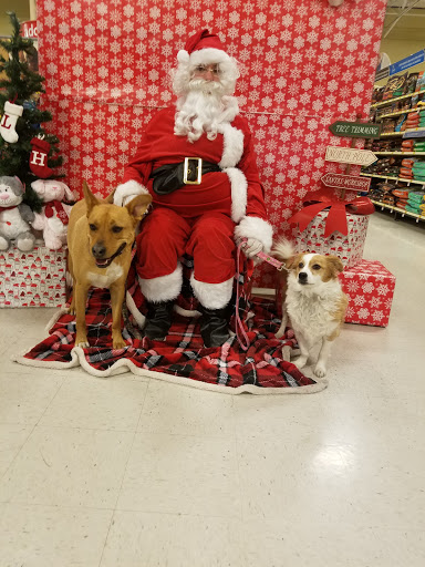 Pet Supply Store «PetSmart», reviews and photos, 6675 S Virginia St, Reno, NV 89511, USA