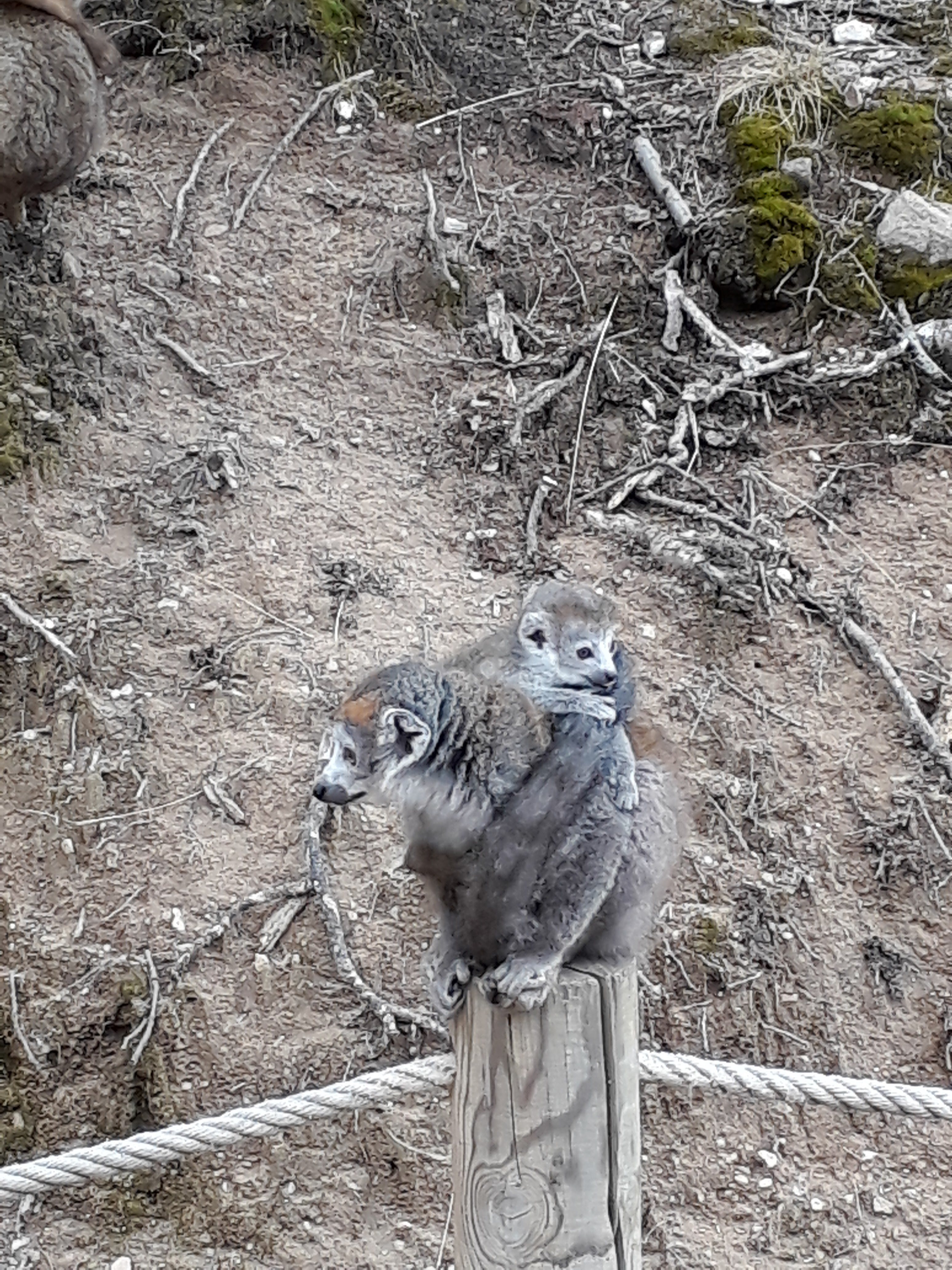 Photo n° 29 de l'avis de Stef.e fait le 15/08/2018 à 14:06