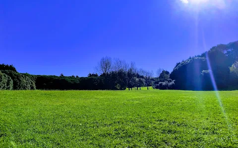 Parque da Cidade do Porto image