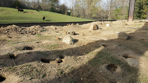 Zoo «Minnesota Zoo», reviews and photos, 13000 Zoo Blvd, Apple Valley, MN 55124, USA