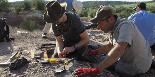 Mesalands Dinosaur Museum and Natural Sciences Laboratory