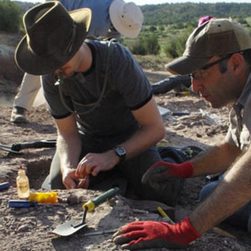 Mesalands Dinosaur Museum and Natural Sciences Laboratory