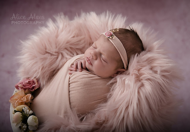 Comments and reviews of Alice Alves Photography