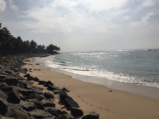 Vine Beach