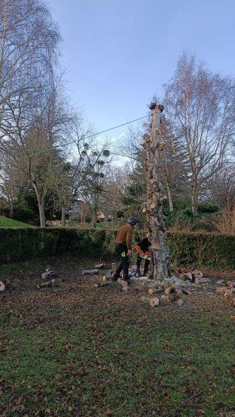 Photo n° 2 de l'avis de Bernard.E fait le 18/01/2024 à 20:39