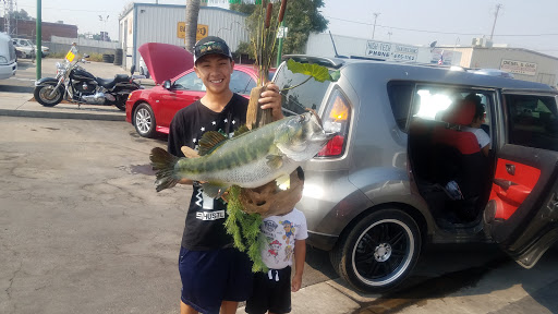 Used Car Dealer «Dollar Bill Auto Sales», reviews and photos, 1234 E Center Ave, Visalia, CA 93292, USA