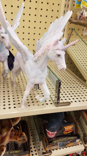 Craft Store «Hobby Lobby», reviews and photos, 1136 Boardman Poland Rd, Youngstown, OH 44514, USA