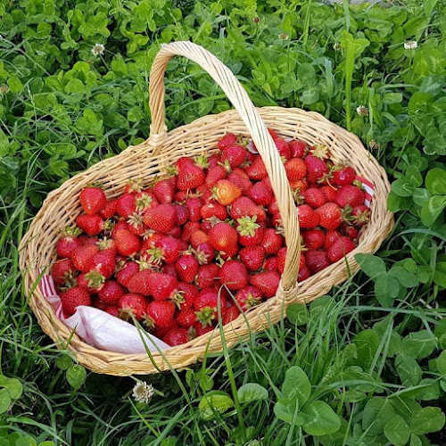 Daniele&Schafroth fraises - La Chaux-de-Fonds
