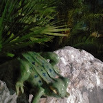 Photo n°2 de l'avis de Kari.o fait le 28/05/2023 à 08:26 sur le  Ranch Sound Sas Di Macri' Laura Orietta E C. à Canne