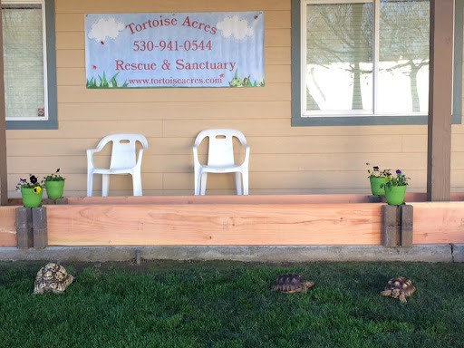 Tortoise Acres Rescue & Sanctuary