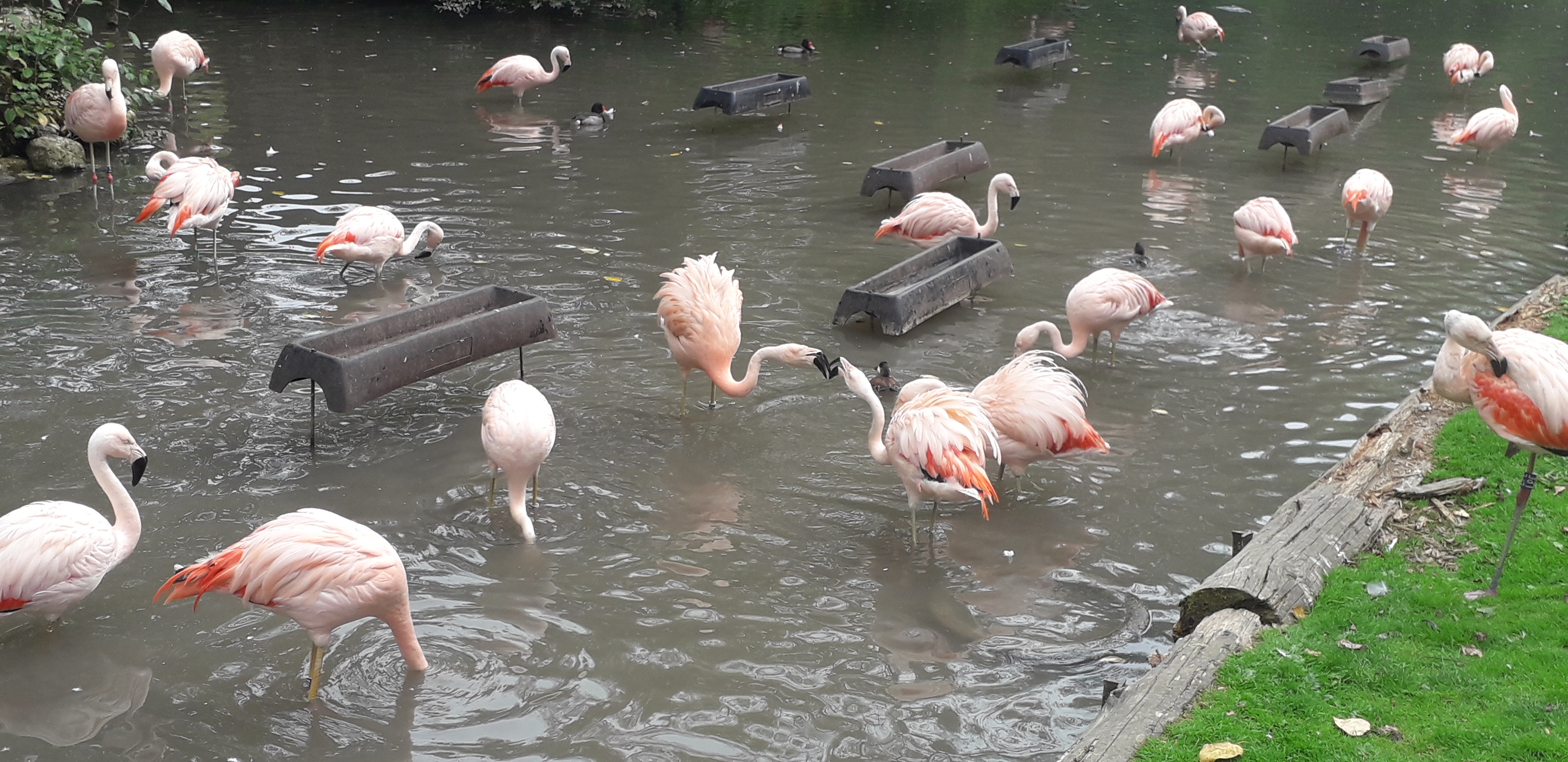 Photo n° 17 de l'avis de lilou.i fait le 19/09/2020 à 16:48