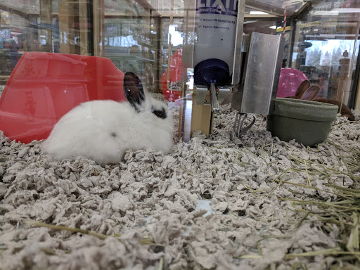 Pet Supply Store «Pet Supermarket», reviews and photos, 268 Grande Heights Dr, Cary, NC 27513, USA