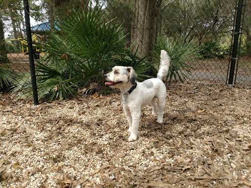 Park «Northeast Park and Paw Place», reviews and photos, 4630 E Bay Dr, Clearwater, FL 33764, USA