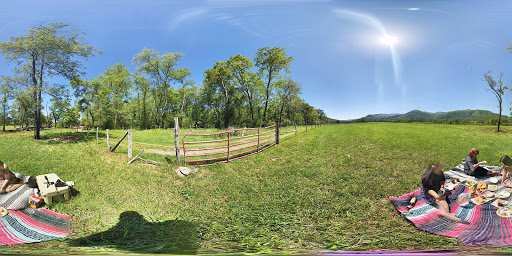 National Park «Great Smoky Mountains National Park», reviews and photos