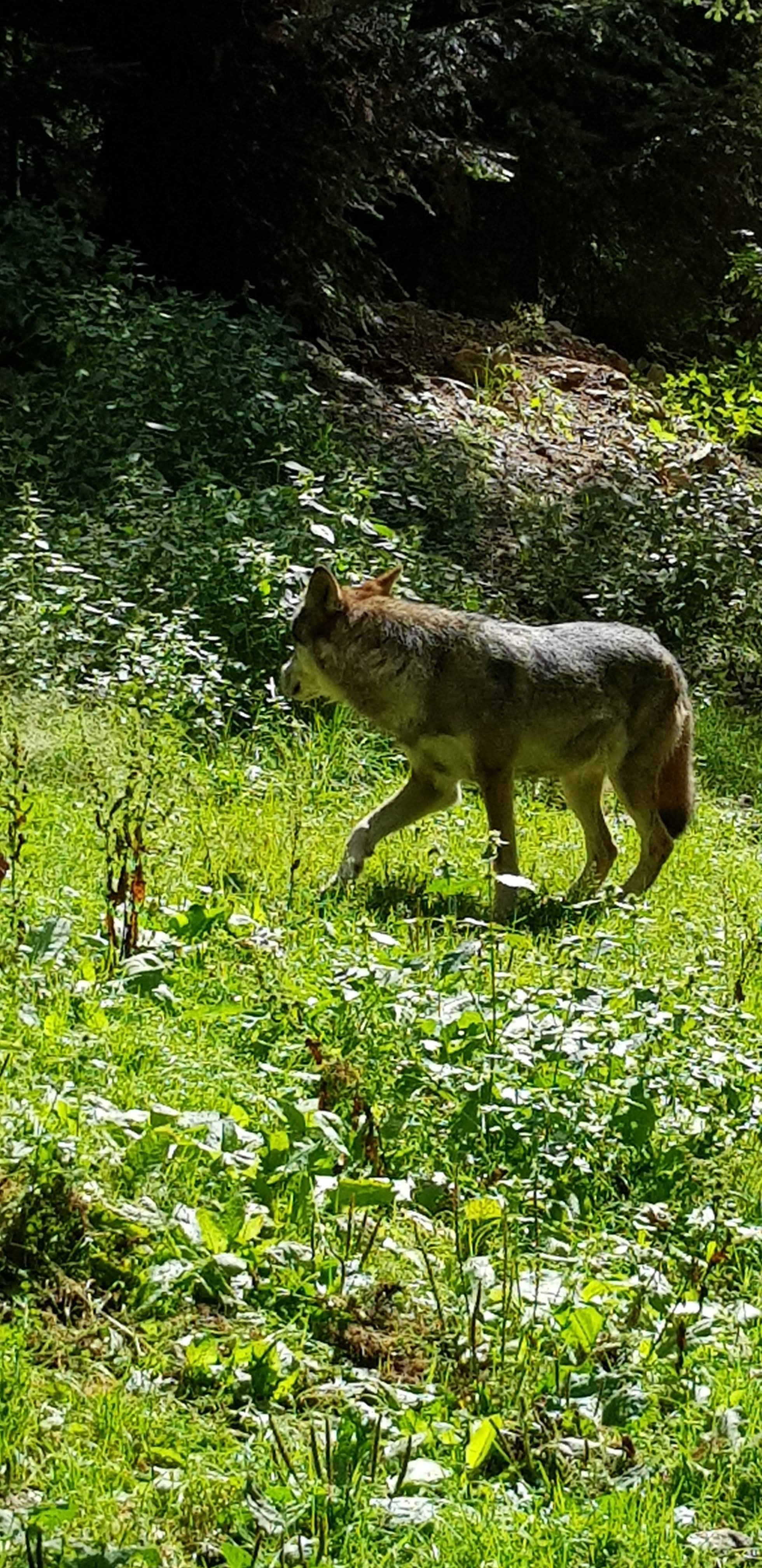 Photo n° 2 de l'avis de Denny.a fait le 23/08/2019 à 07:52