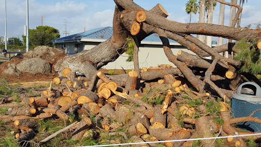 Golf Course «Dad Miller Golf Course», reviews and photos, 430 N Gilbert St, Anaheim, CA 92801, USA