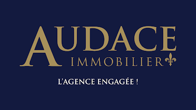Audace Immobilier à Lyon