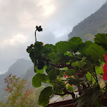 Photo n°1 de l'avis de Tamara.n fait le 04/11/2018 à 19:44 sur le  Le Petit Coin à Lillianes