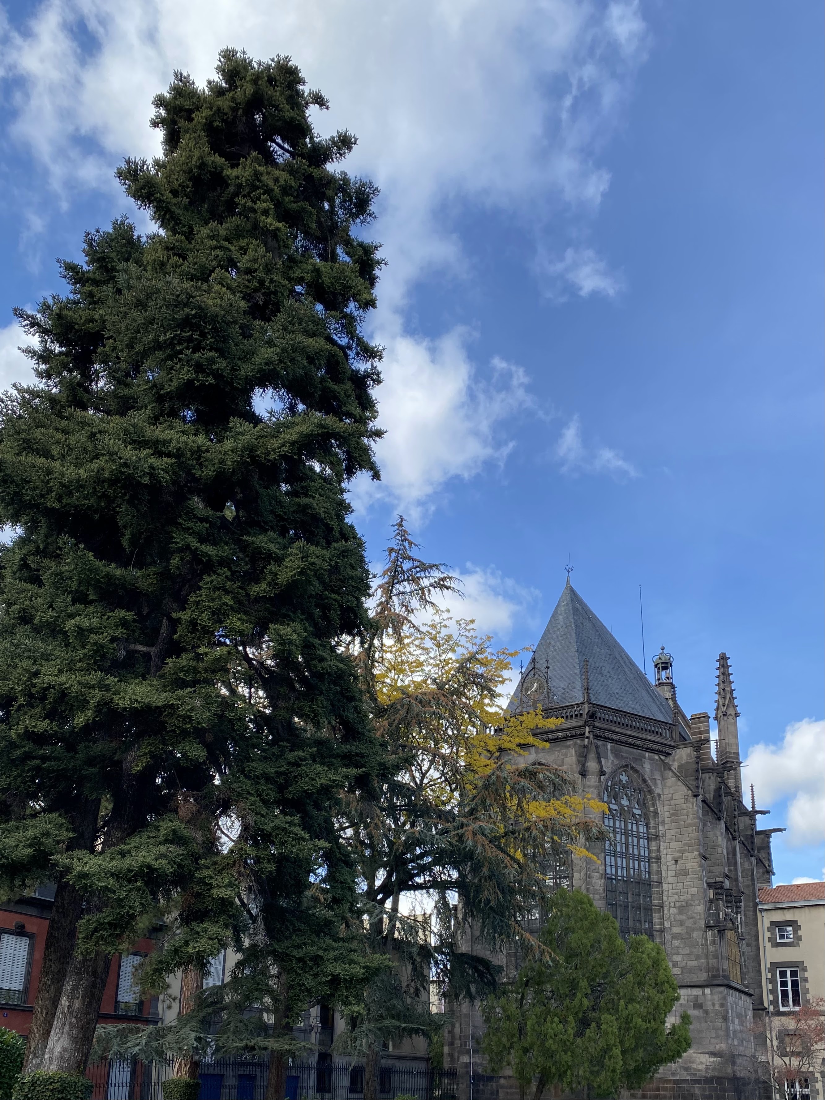 Photo n° 2 de l'avis de Cyrille.E fait le 26/10/2021 à 15:13
