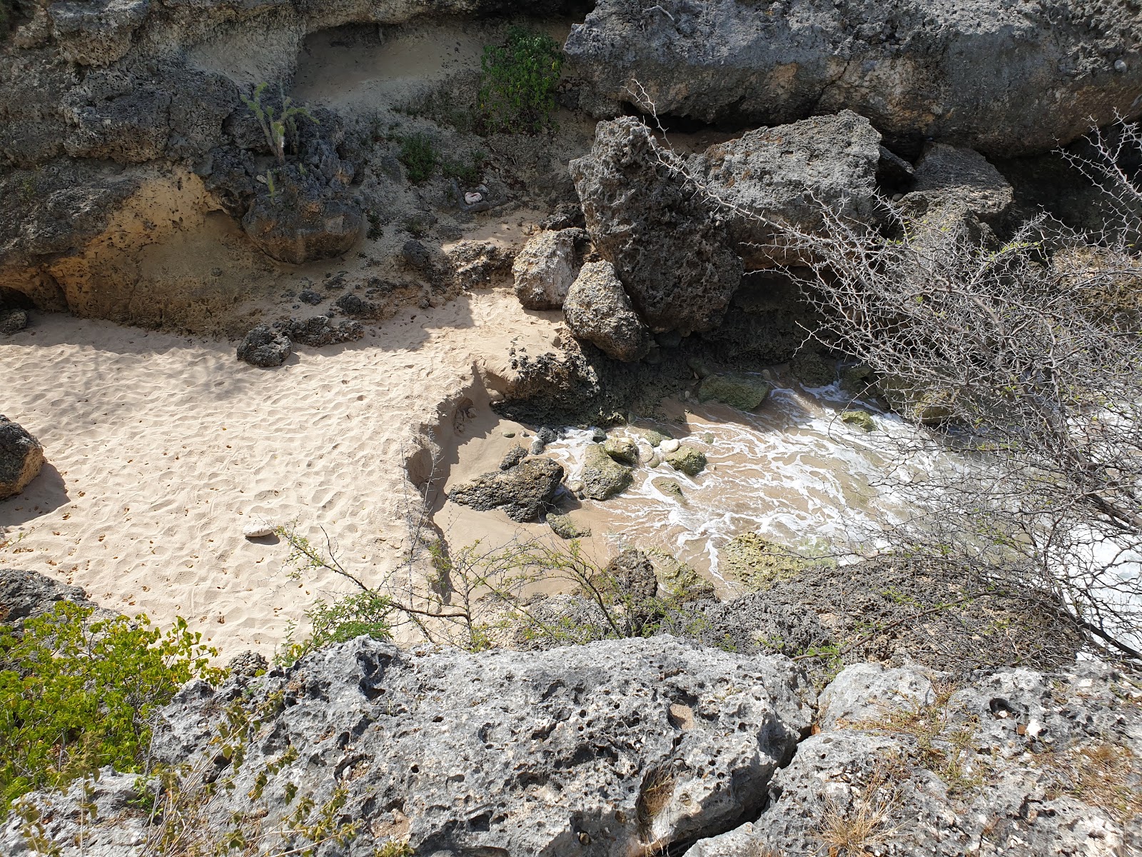 Foto van Playa Gipy wilde omgeving