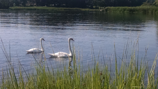 Park «Sweets Knoll State Park», reviews and photos, 1387 Somerset Ave, Dighton, MA 02715, USA