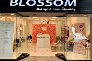 Blossom Med Spa & Brow Threading image