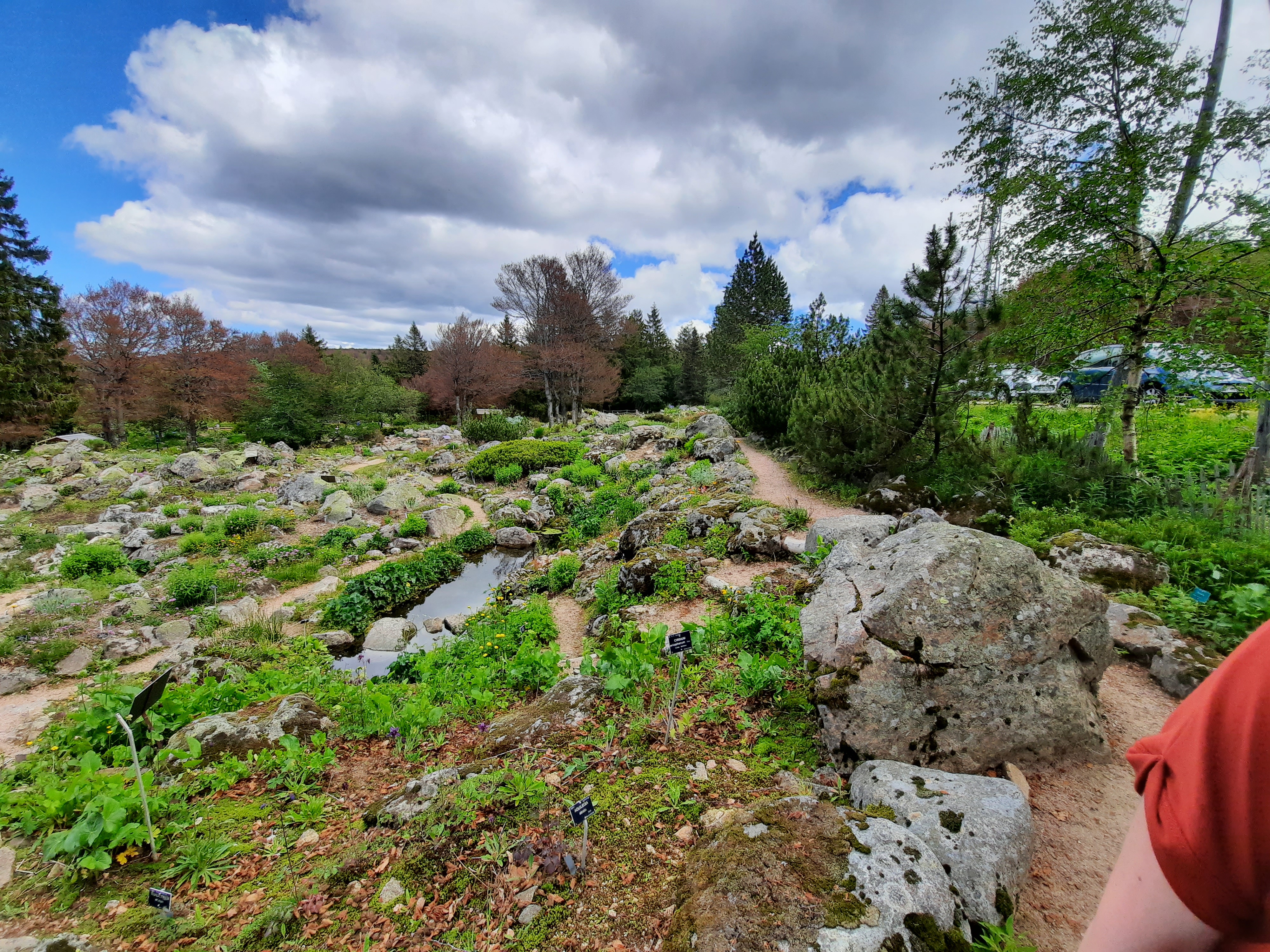 Photo n° 43 de l'avis de Victoria.e fait le 22/06/2020 à 21:37