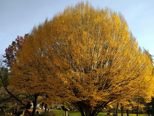 Park «Commonwealth Lake Park», reviews and photos, SW Butner Rd & SW Huntington Ave, Cedar Hills, OR 97225, USA