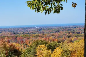 Chapin Forest Reservation image