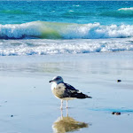 Photo n°18 de l'avis de João.a fait le 14/06/2020 à 18:43 sur le  Sesimbra Oceanfront Hotel à Sesimbra